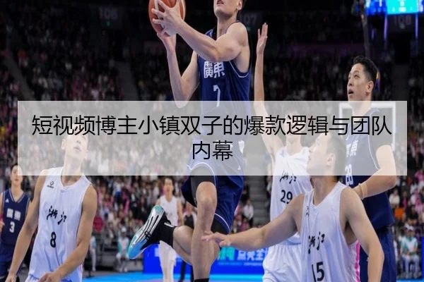 短视频博主小镇双子的爆款逻辑与团队内幕